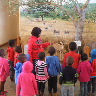 children looking at stuffed animals