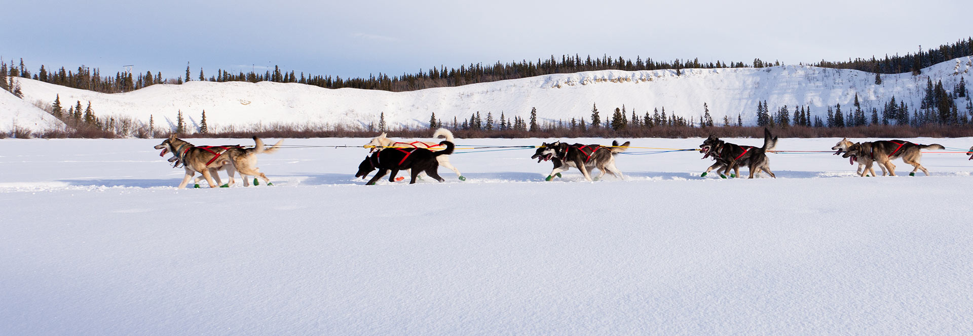 Winter activity vacations in 2024 & 2025 Responsible Travel