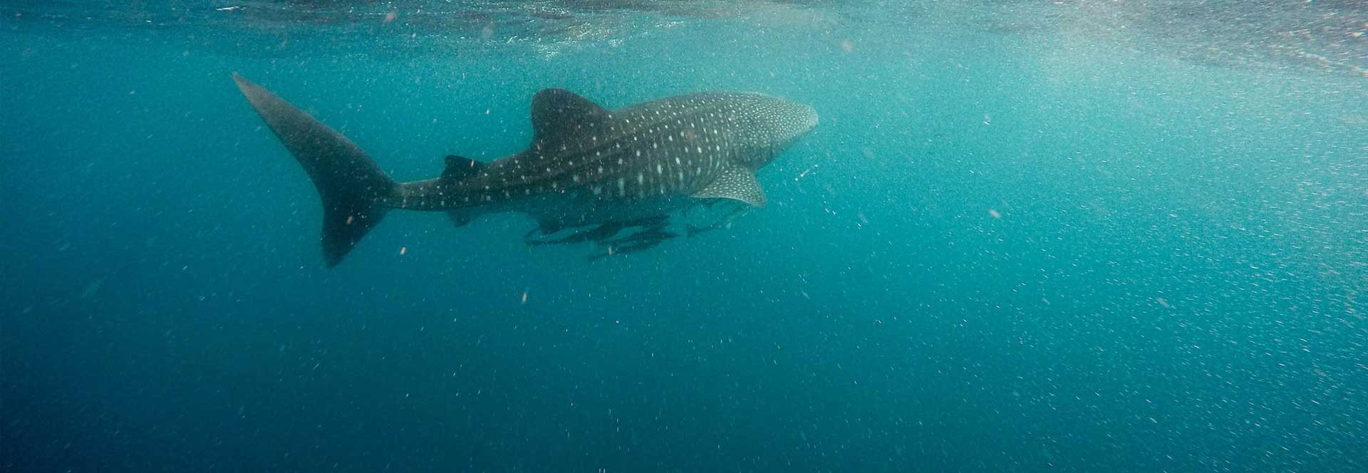 Where to go when vacations in 2024 & 2025 | Responsible Travel