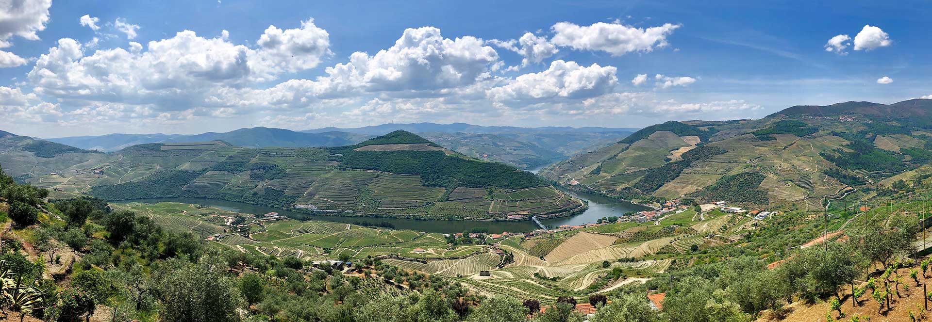 Liberdade – Pedro Pousada – Círculo de Artes Plásticas de Coimbra, image size:1920x664