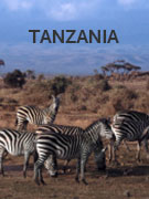 Tanzania vacations Tanzania vacations