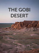 The Gobi Desert vacations The Gobi Desert vacations