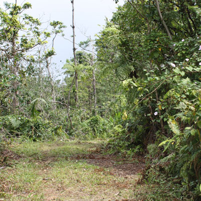 trail