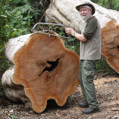 Bowsaw