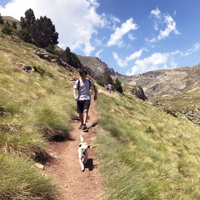 Walking the dog
