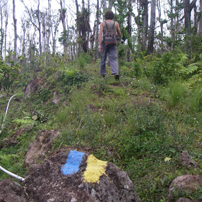 Waitukubuli Trail