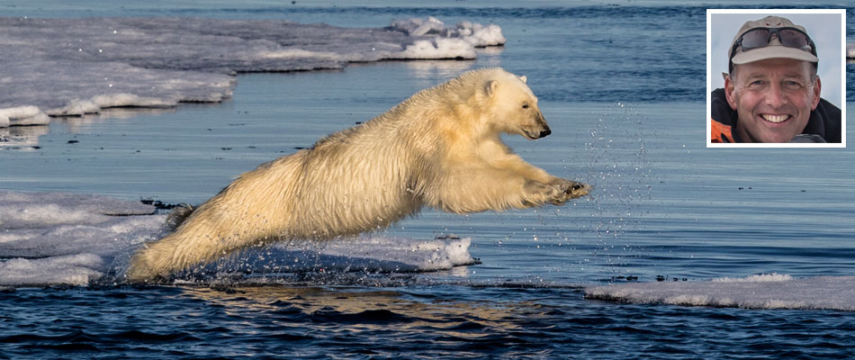 Polar Bear