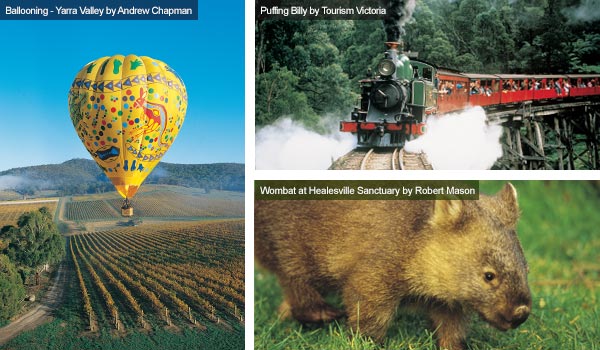 Ballooning, Puffing Billy Steam Railway and a wombat, Victoria. Photos from Victoria Tourist Board