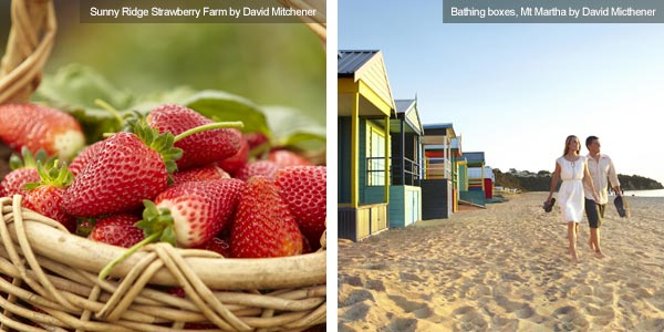 Strawberries at Sunny Ridge Strawberry Farm & bathing boxes at Mt Martha, Victoria. Photos from Victoria Tourist Board