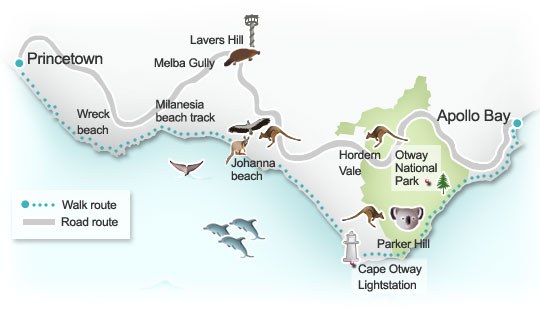 Apollo Bay to Princetown route map. Illustration by Lisa Joanes