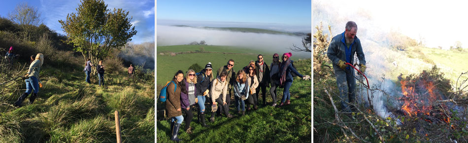 South Downs office volunteer day