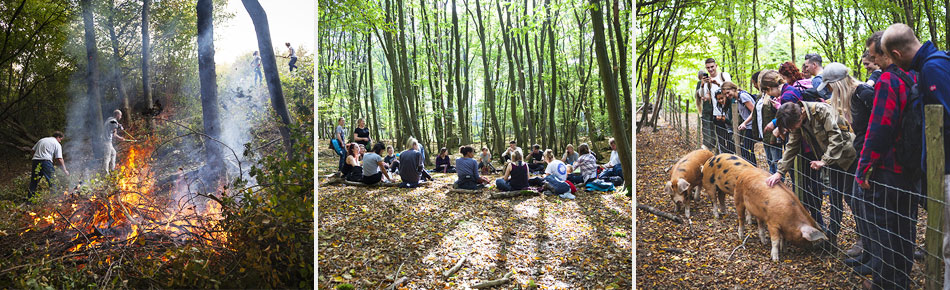 Barcombe woods office volunteer day