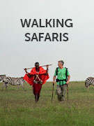 Walking safari vacations Walking safari vacations