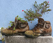 Old walking gear