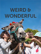 Weird and wonderful vacations Weird and wonderful vacations