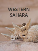 Western Sahara vacations Western Sahara vacations