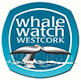 Whale Watch West Cork