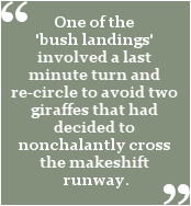Giraffes had decided to nonchalantly cross the makeshift runway