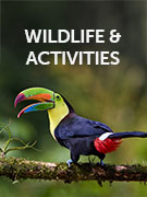 Wildlife vacations & wildlife conservation vacations - Responsible Travel