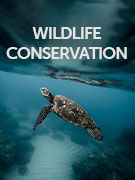 Wildlife conservation guide