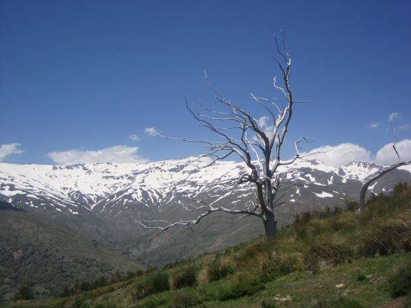 Las Alpujarras hiking vacation, Spain